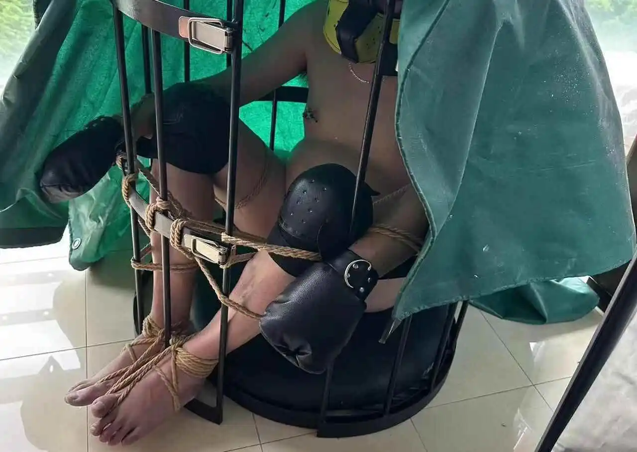 西檬之家s倾向是什么意思？ 一