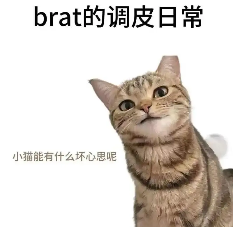 西檬之家斯慕圈新人如何入圈？ 一