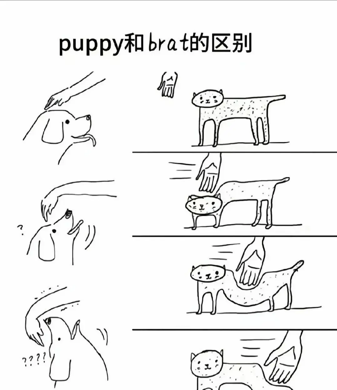 西檬之家字母圈新人如何入圈？ 一