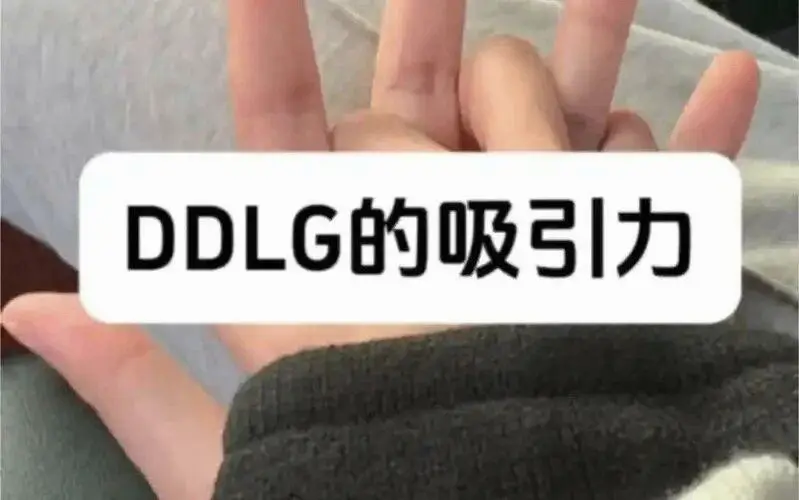 西檬之家k8猫系属性解析 一