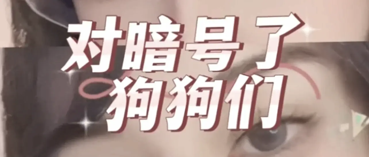 西檬之家BDSM是什么？字母圈新人入门指南 一