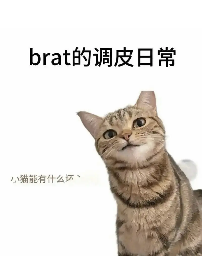 西檬之家Sub是什么?字母圈新人入圈 一