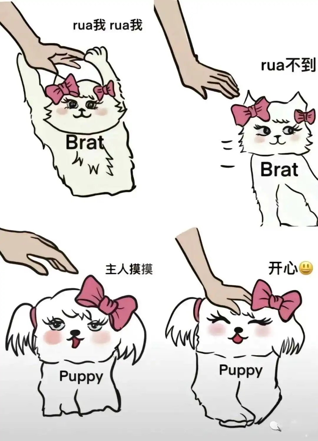 西檬之家BDSM新人如何入圈？ 一