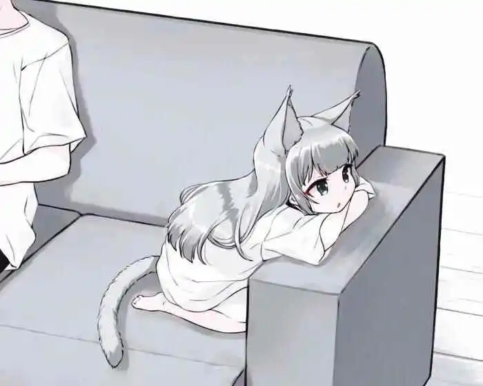 西檬之家什么是brat属性？ 一