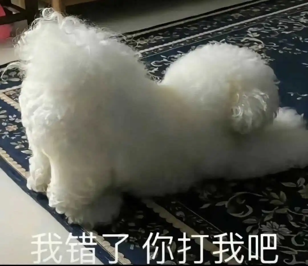 西檬之家字母圈的Aftercare是什么？ 一