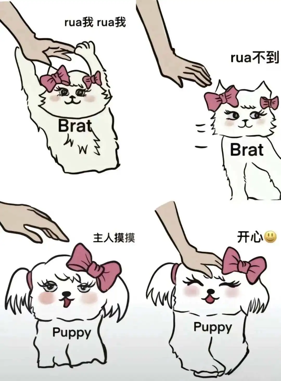 西檬之家TK是什么？字母圈新人入圈 一